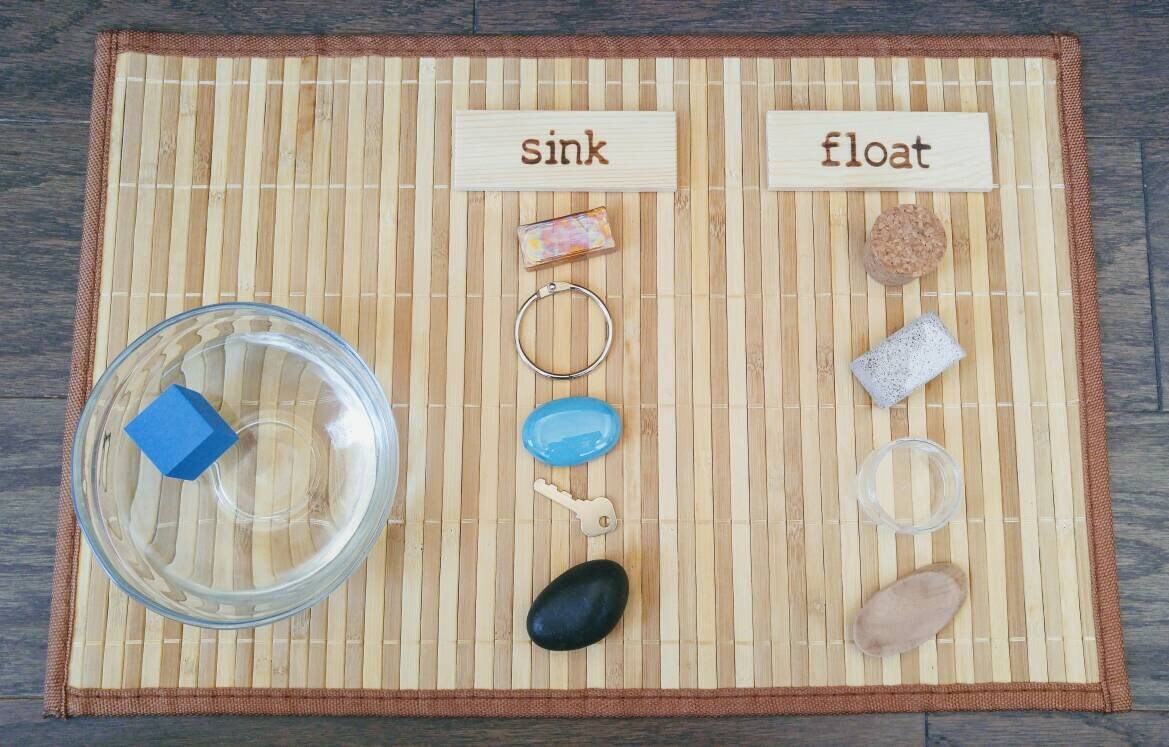Sink/Float Sorting Set, Montessori Object Classification, Gift for Kids, Reggio Emilia, Teacher Resources