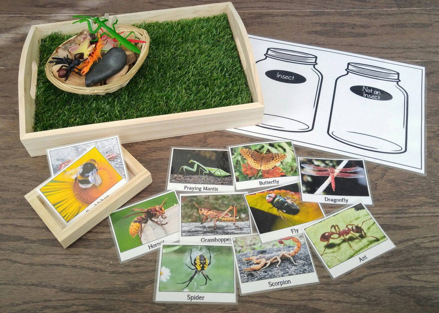 Bug/Insect Sensory Activity Kit, 3 Activities in 1, Fine Motor Skills, Kids Gift, Montessori, Reggio Emilia, Waldorf, Teacher Resources