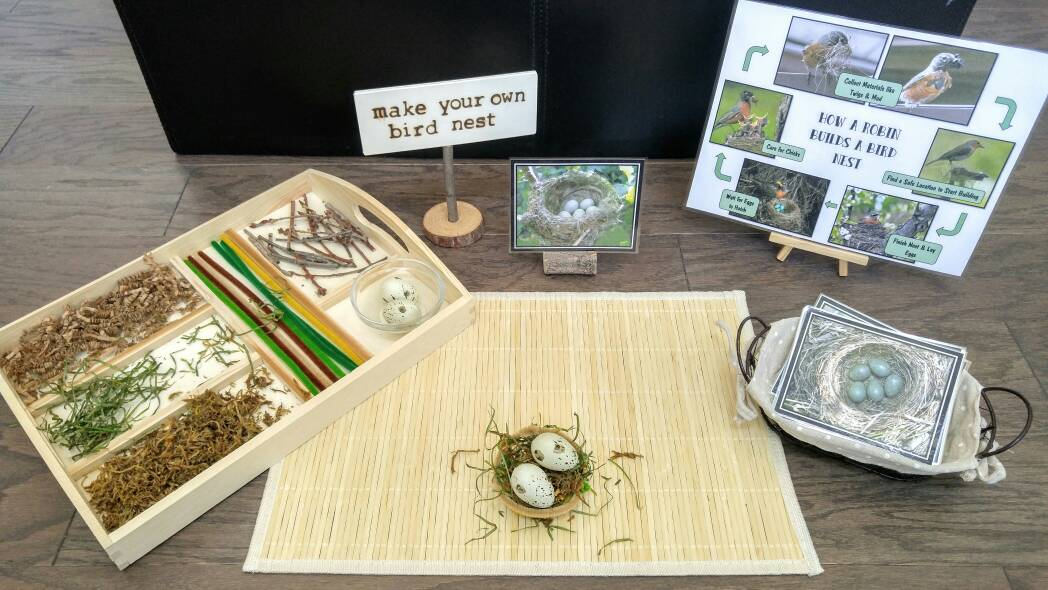 Loose Parts Nest/Bird Activity, Build a Nest, Fine Motor Skills, Gift for Kids, Montessori Classroom, Reggio Emilia, Teacher Resources