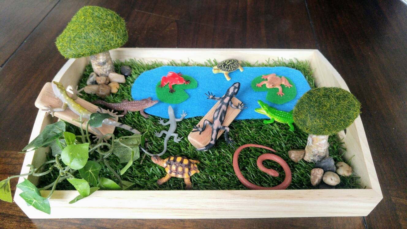 Reptile/Amphibian Sensory Activity Set, 3 Activities in 1, Fine Motor Skills, Kids Gift, Montessori, Reggio Emilia, Waldorf