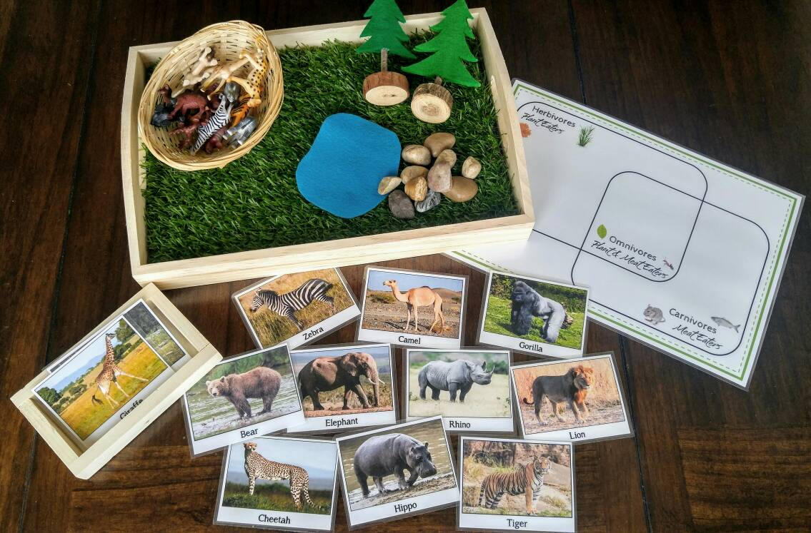 Wild Animal Sensory Activity Set, 3 Activities in 1, Fine Motor Skills, Kids Gift, Montessori, Reggio Emilia, Waldorf, Teacher Resources