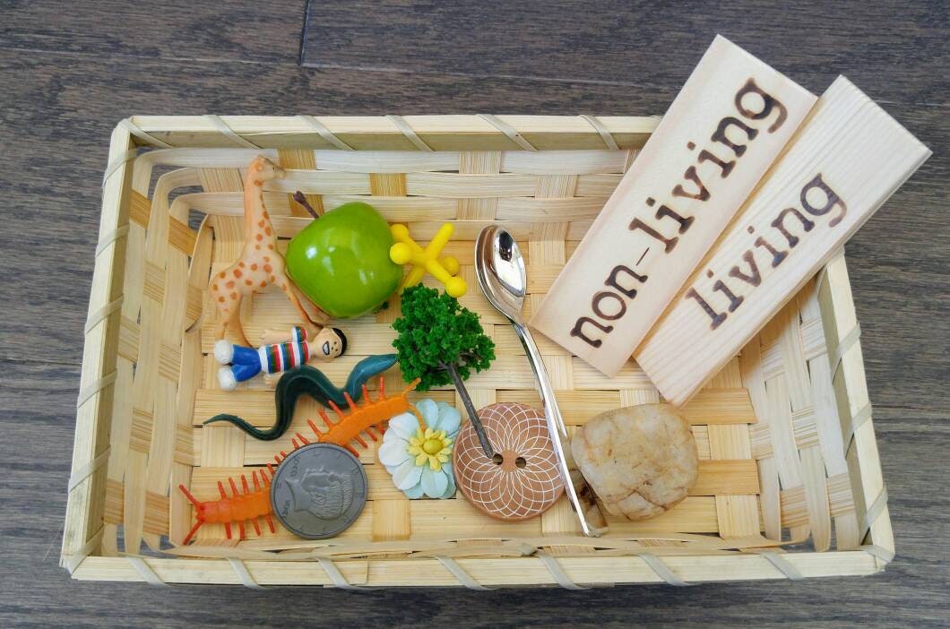 Living/Non-Living Sorting Set, Montessori Object Classification, Gift for Kids, Reggio Emilia, Teacher Resources