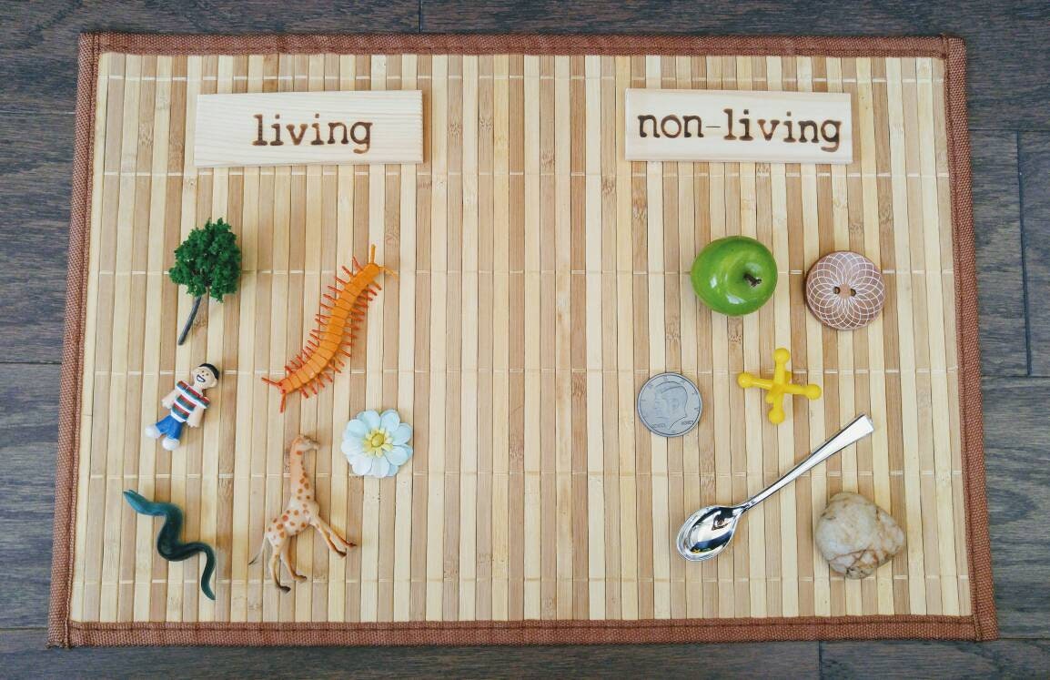 Living/Non-Living Sorting Set, Montessori Object Classification, Gift for Kids, Reggio Emilia, Teacher Resources