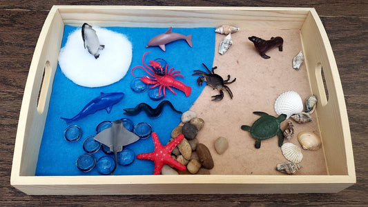 Ocean Animal Sensory Activity Set, Vertebrates/Invertebrates, 3 Activities in 1, Fine Motor Skills, Kids Gift, Montessori, Waldorf