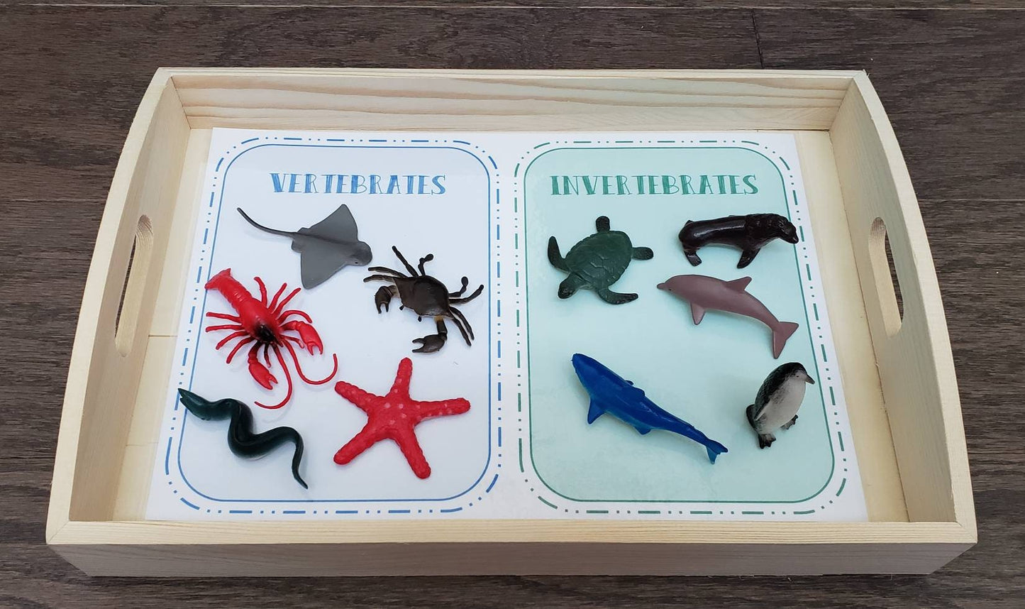 Ocean Animal Sensory Activity Set, Vertebrates/Invertebrates, 3 Activities in 1, Fine Motor Skills, Kids Gift, Montessori, Waldorf