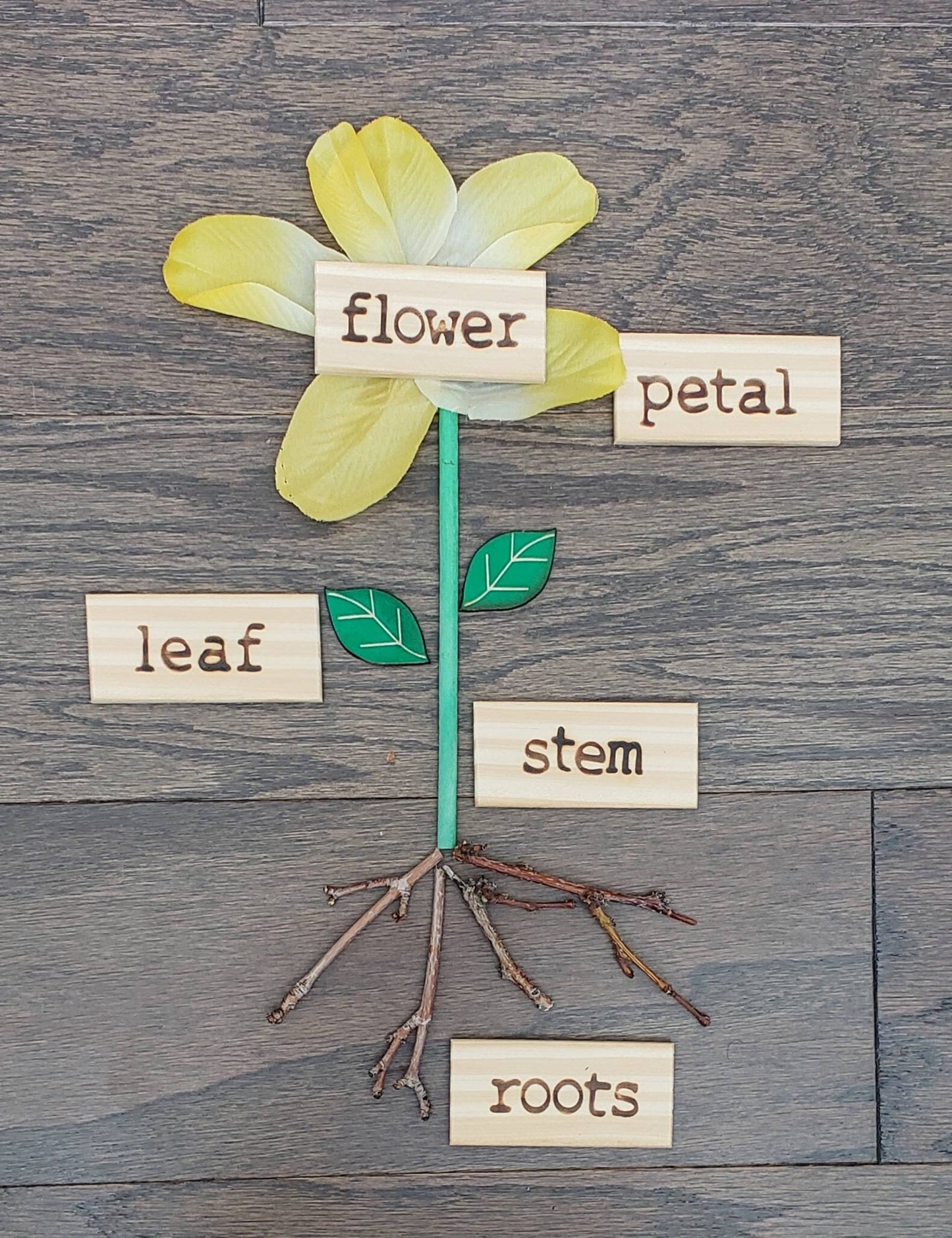 Loose Parts Flower Activity, Parts of a Flower, Fine Motor Skills, Gift for Kids, Montessori Classroom, Reggio Emilia, Teacher Resources