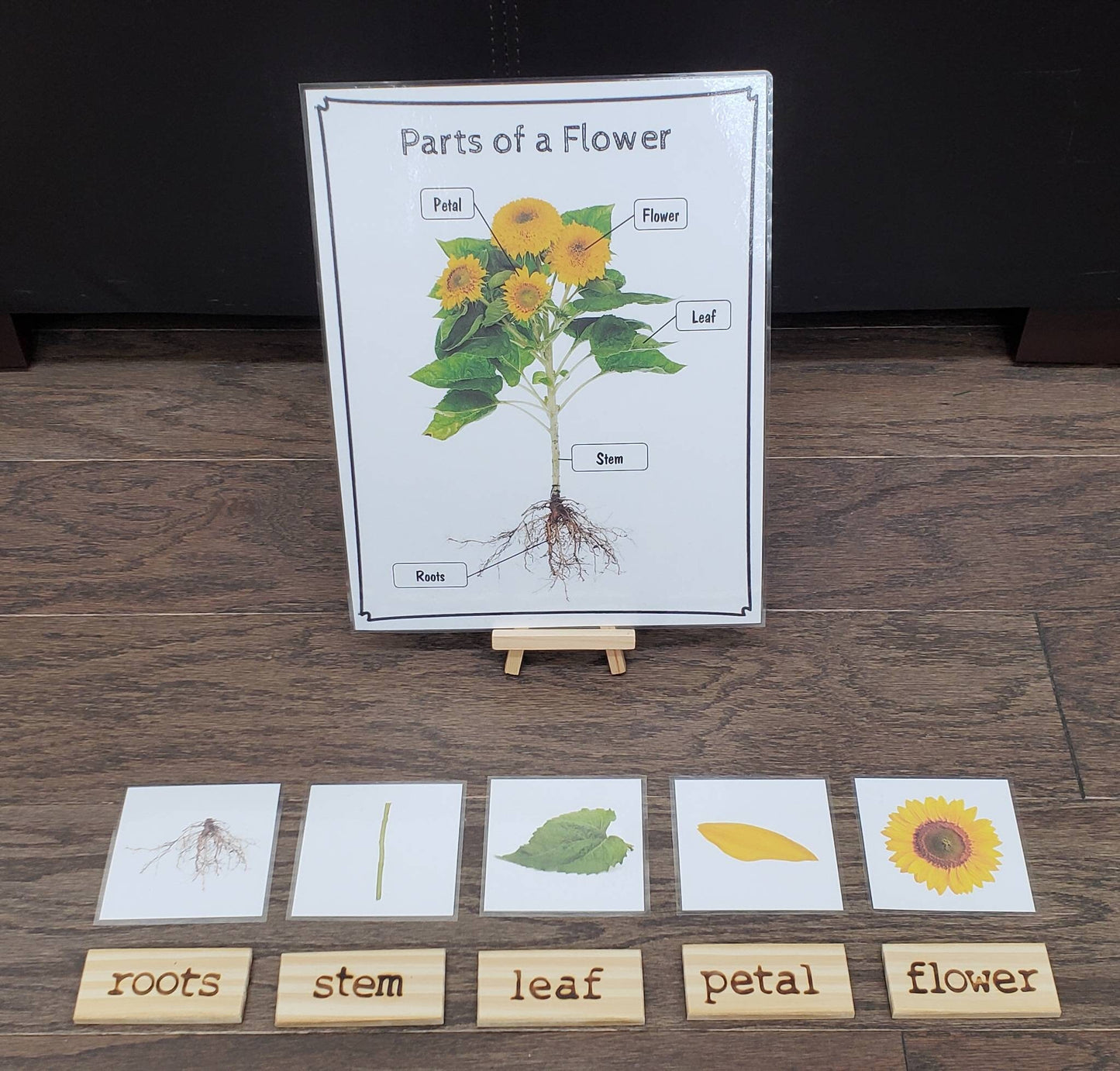 Loose Parts Flower Activity, Parts of a Flower, Fine Motor Skills, Gift for Kids, Montessori Classroom, Reggio Emilia, Teacher Resources