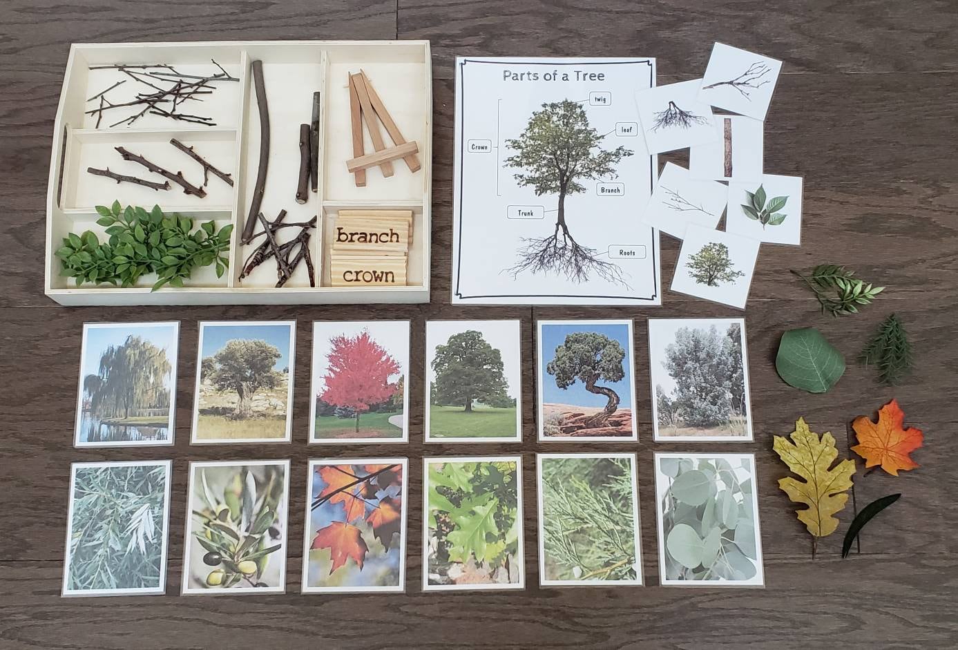Loose Parts Tree Activity, Parts of a Tree, Fine Motor Skills, Gift fo ...
