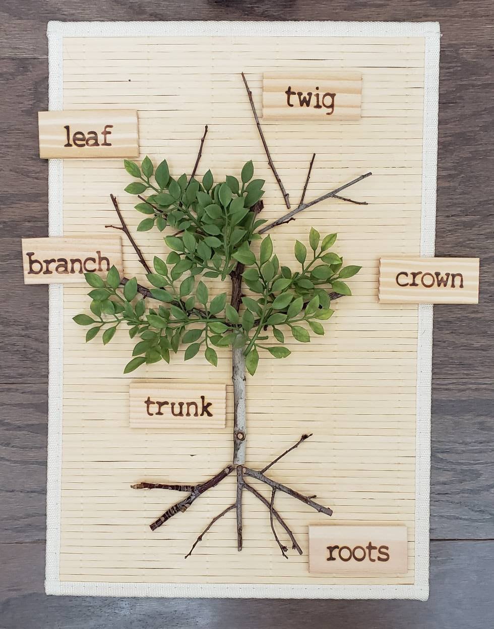 Loose Parts Tree Activity, Parts of a Tree, Fine Motor Skills, Gift for Kids, Montessori Classroom, Reggio Emilia, Teacher Resources