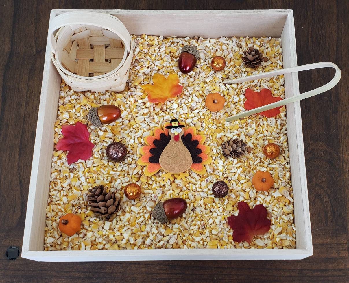 Thanksgiving/Fall Sensory Box, Tweezing Activity, Fine Motor Skills, Gift for Kids, Montessori, Classroom Activity, Teacher Resources