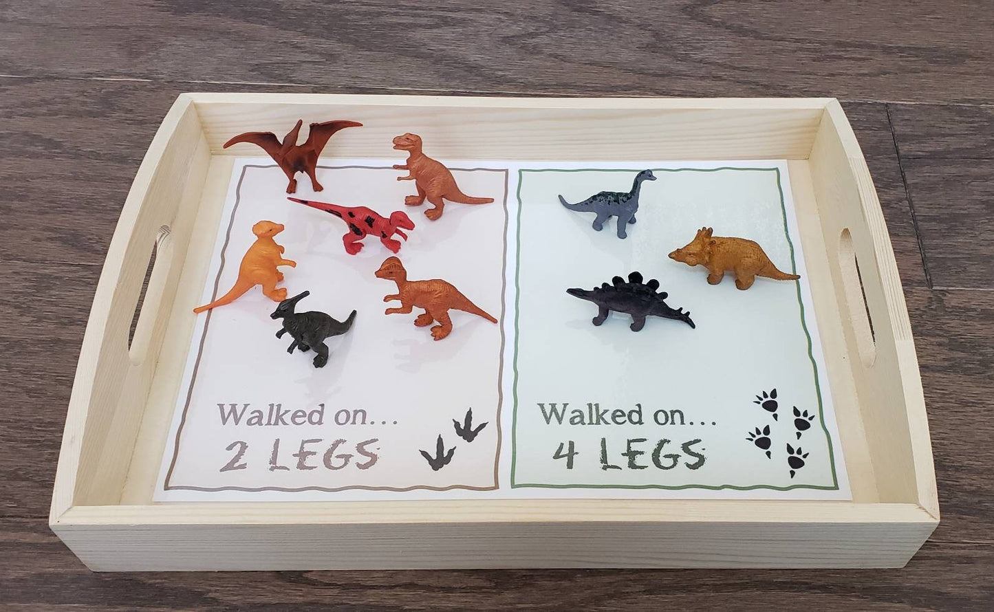 Dinosaur Sensory Activity Set, 3 Activities in 1, Fine Motor Skills, Kids Gift, Montessori, Reggio Emilia, Waldorf