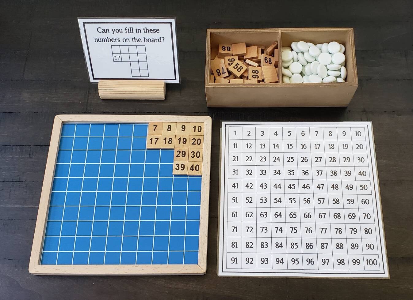 100 Board Exploration, Math Activity, Even/Odd, 1-100, Gift for Kids, Montessori Classroom, Reggio Emilia, Teacher Resources