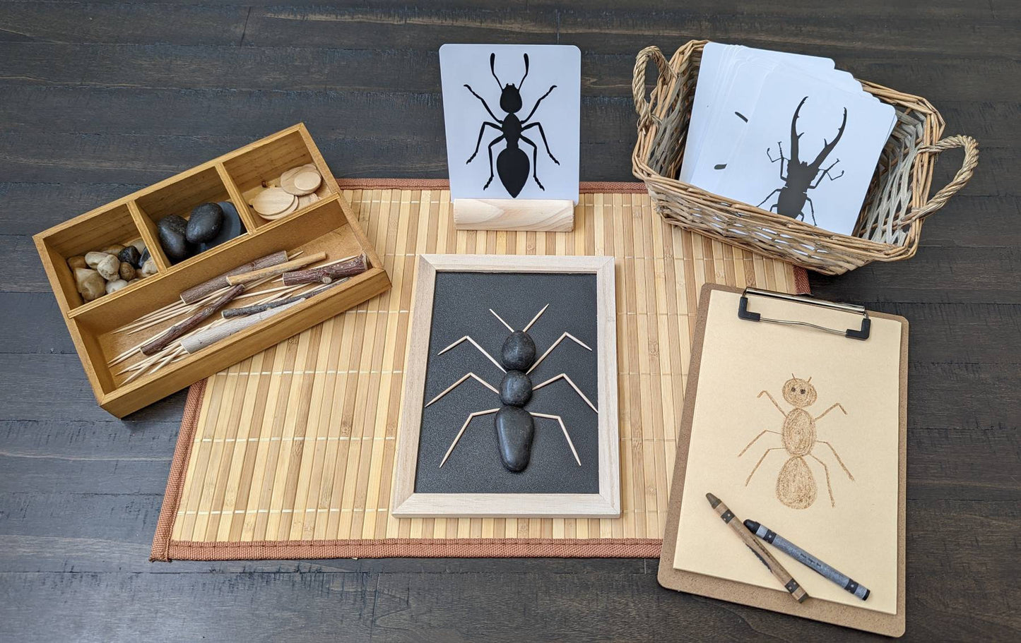 Loose Parts Insect/Bug Exploration, Build a Bug, Fine Motor Skills, Gift for Kids, Montessori Classroom, Reggio Emilia, Teacher Resources