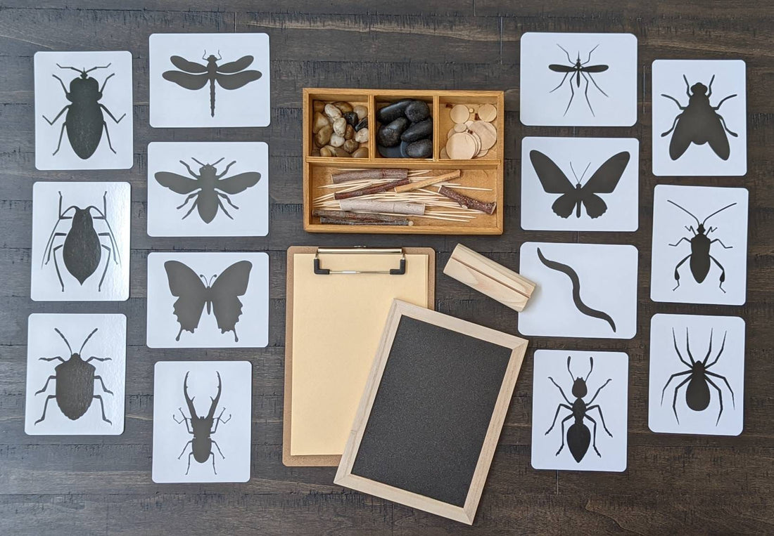 Things Insects Build Loose Parts Insect/Bug Exploration, Build a Bug, Fine Motor Skills, Gi ...