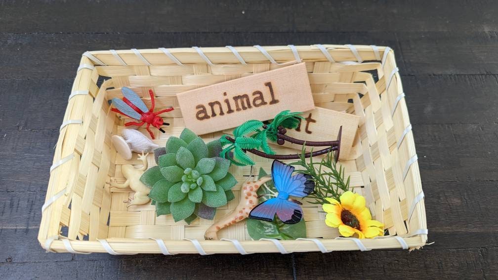 Plant/Animal Sorting Set, Montessori Object Classification, Gift for Kids, Reggio Emilia, Teacher Resources