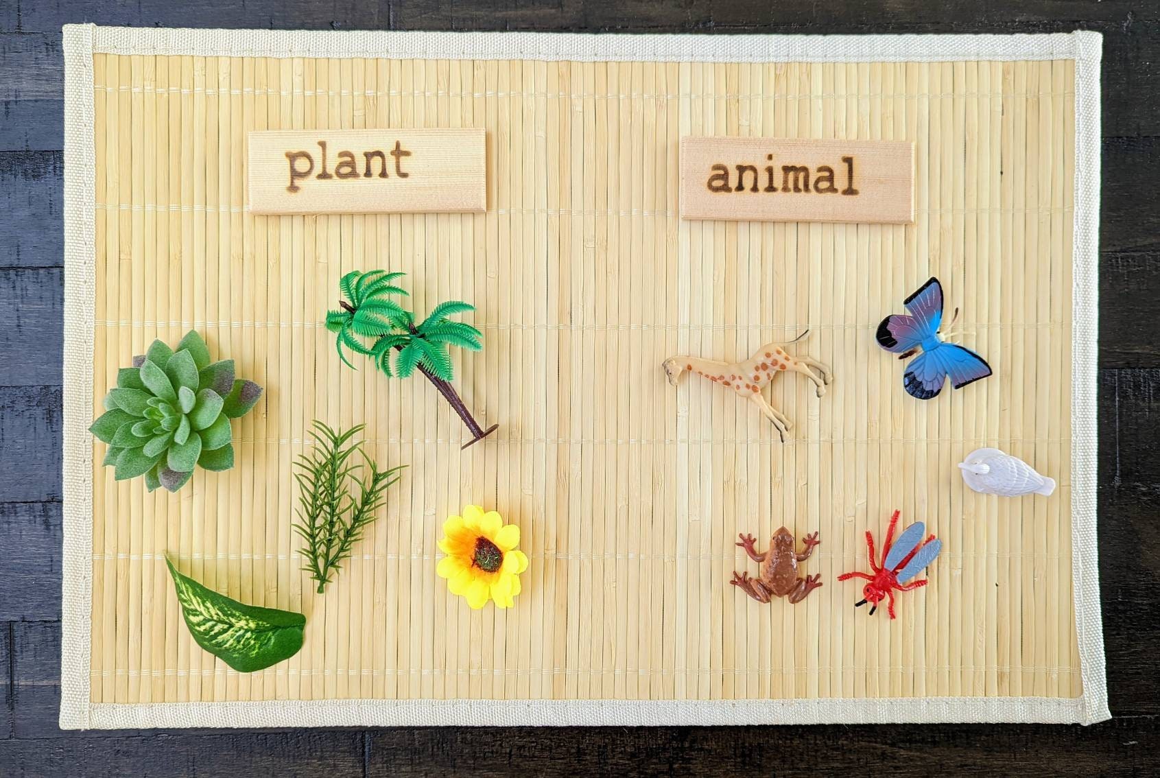 Plant/Animal Sorting Set, Montessori Object Classification, Gift for Kids, Reggio Emilia, Teacher Resources