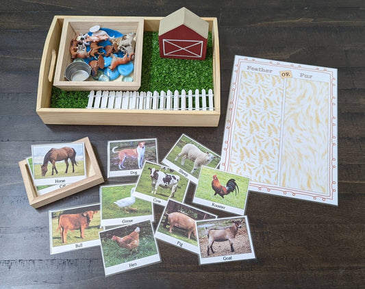 Farm Activity Kit, 3 Activities in 1, Farm Sensory Tray, Fine Motor Skills, Kids Gift, Montessori, Reggio Emilia, Waldorf, Teacher Resources