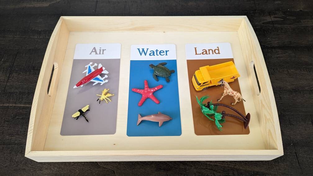 Land/Air/Water Activity Kit, Object Matching, Gift for Kids, Cultural/Geography/Science Montessori, Classroom Activity, Teacher Resources