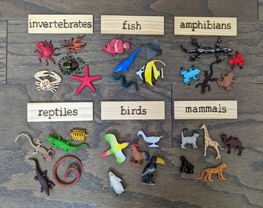 Animal Classification Sorting Set, Montessori Object Classification, Gift for Kids, Reggio Emilia, Teacher Resources