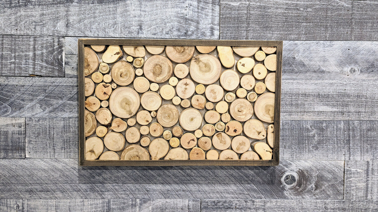 Wood Slice Artwork, Wall Hanging, Natural Wood Ar