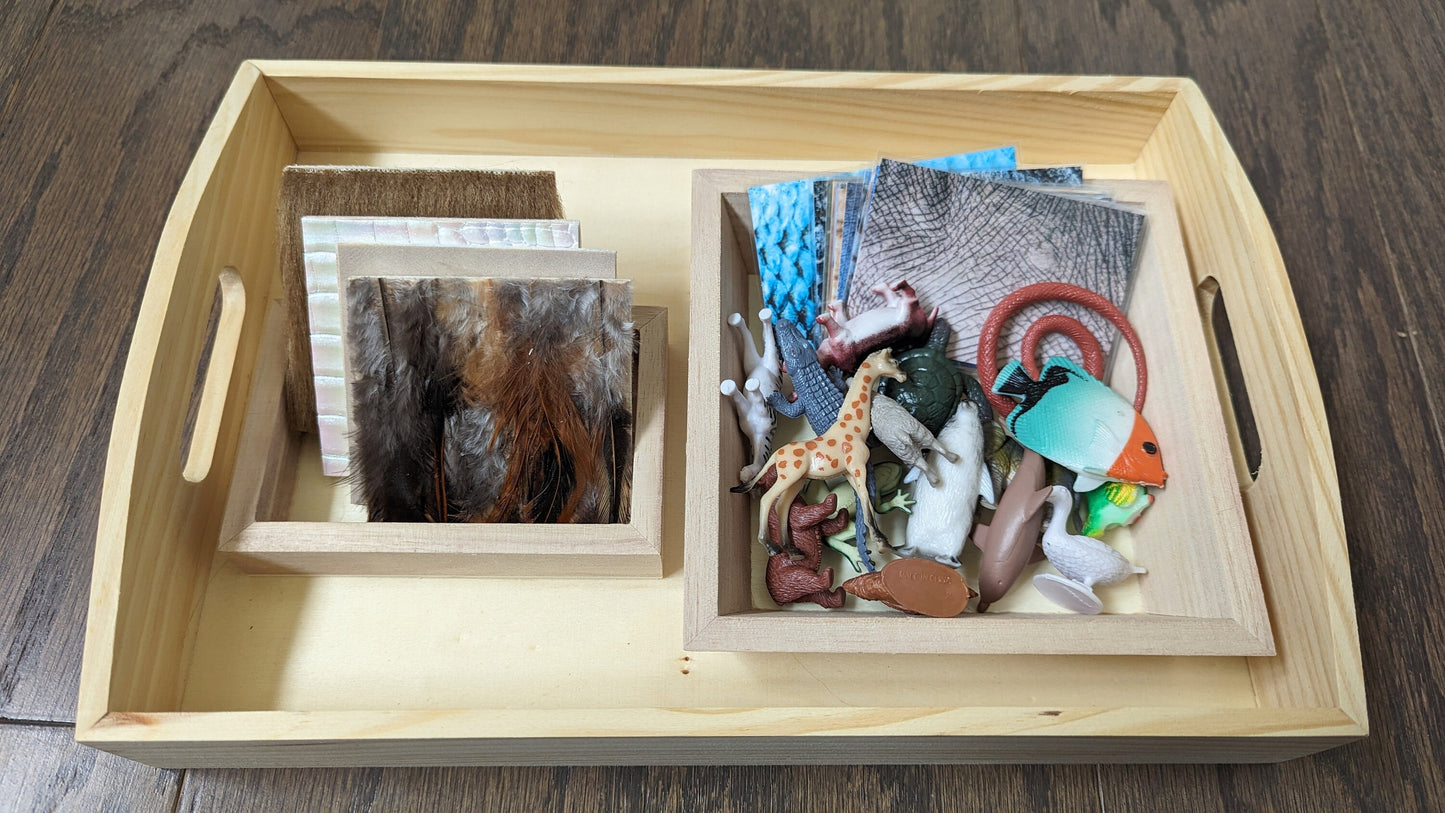 Fur, Feathers, Scales and Skin Sorting Set, Fine Motor Skills, Kids Gift, Montessori, Reggio Emilia, Waldorf, Teacher Resources